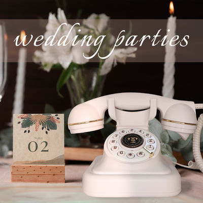 32GB Tin nhắn cho khách mời đám cưới Màu sắc tùy chỉnh Audio Phone Guestbook For Birthdays Events