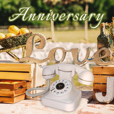 32GB Tin nhắn cho khách mời đám cưới Màu sắc tùy chỉnh Audio Phone Guestbook For Birthdays Events