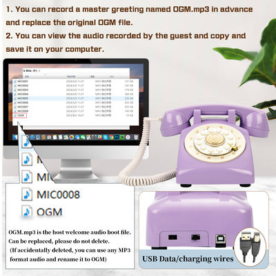 Vintage Audio Guest Book Điện thoại duy nhất 10 giờ Voice Mail Message Recorder