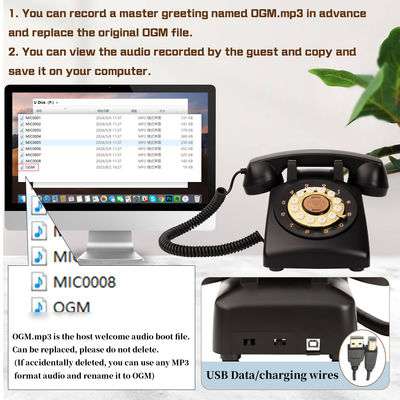 15 giờ Voice Guestbook USB âm thanh rõ ràng Tất cả các dịp Điện thoại Hôn nhân Guestbook